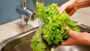 person skyller salat under rindende vand
