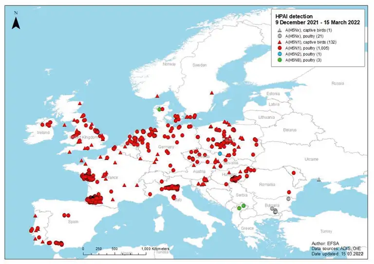 Udbrud af HPAI i Europa